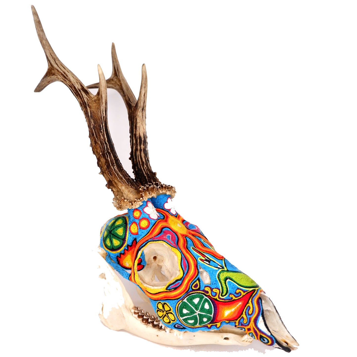 Głowa koziołka Wixaritari (Huichol)