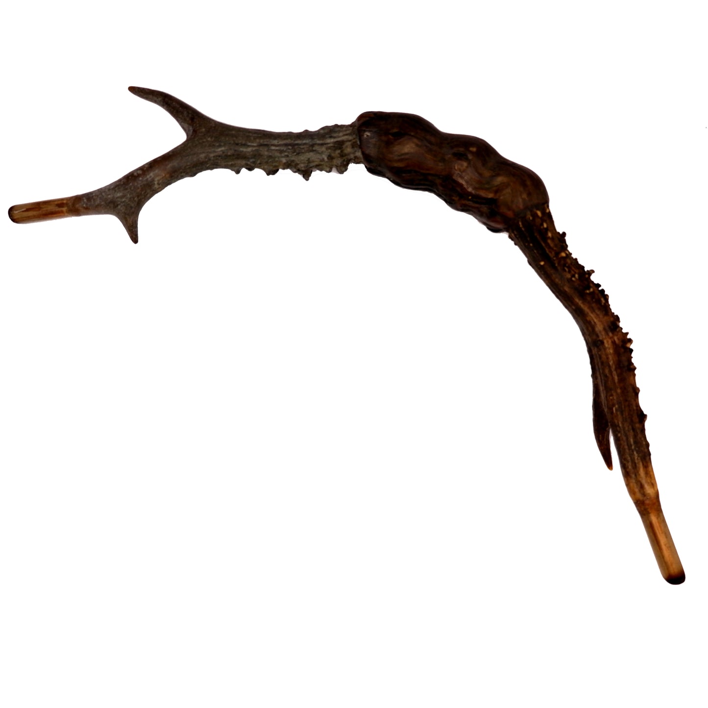 SKULL DECORATED WITH BEADS