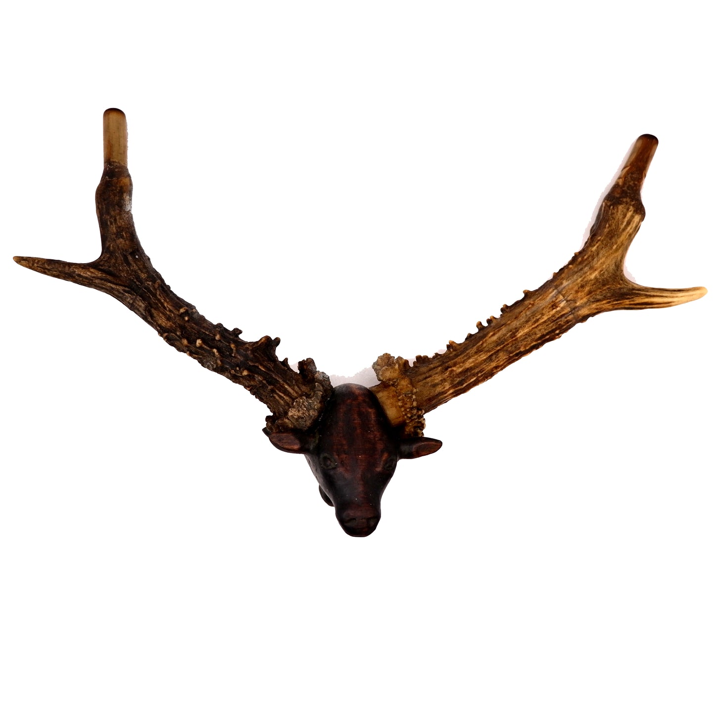 SKULL DECORATED WITH BEADS